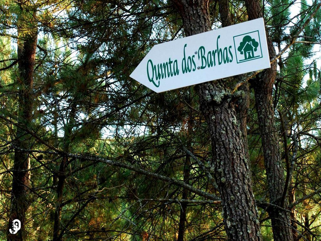 Quinta Dos Barbas Pensjonat Oliveira do Hospital Zewnętrze zdjęcie